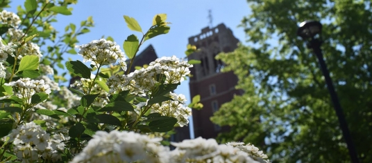 spring campus flowers and ִ˰appԼ clock tower